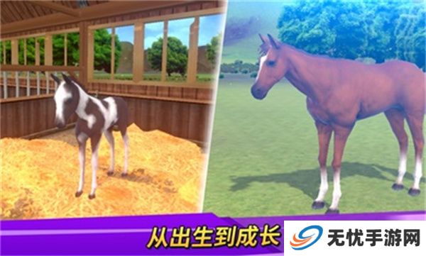 德比生活游戏