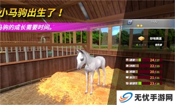 德比生活游戏