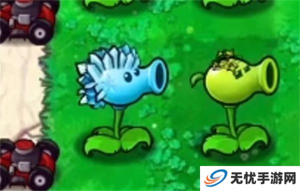 植物大战僵尸内鬼版
