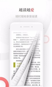 蜂毒小说
